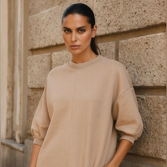 Everlane Organic Cotton Track Dress Tan Mini Dress Oversized Sweatshirt Neutral - Picture 2 of 13